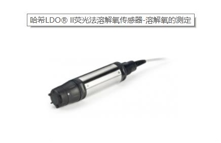 哈希.jpg